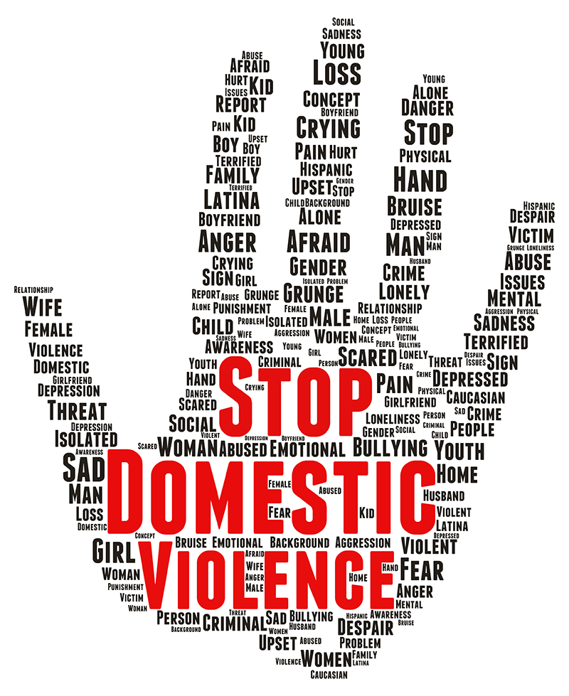 Domestic Violence Lake County Domestic Relations Court