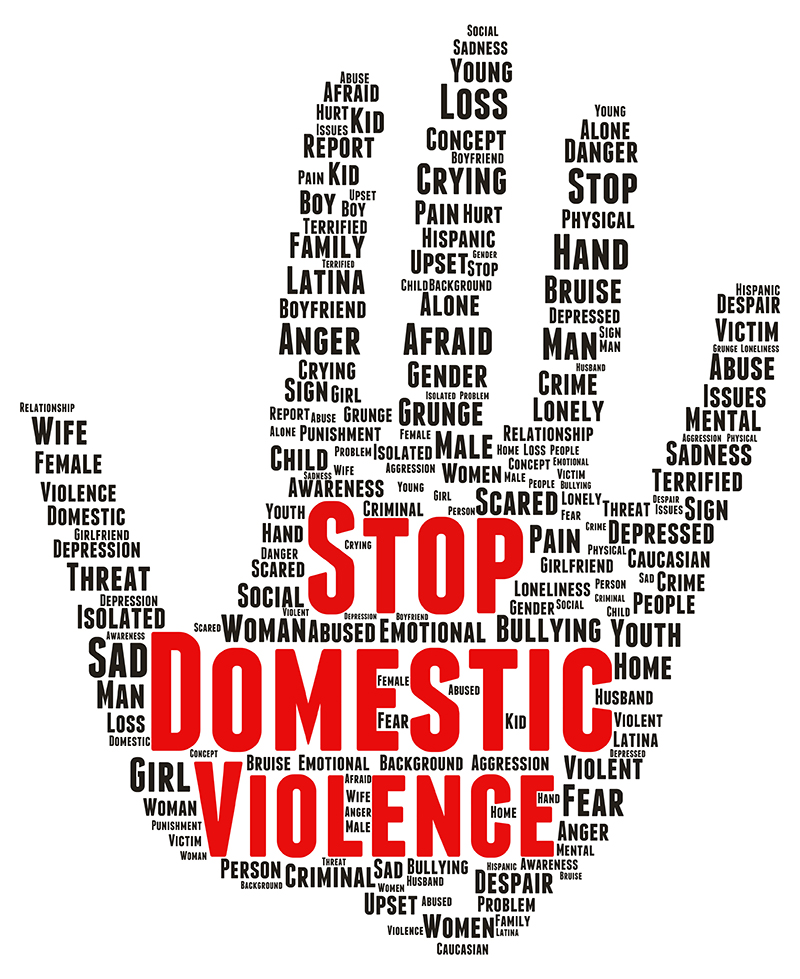 domestic violence v violence